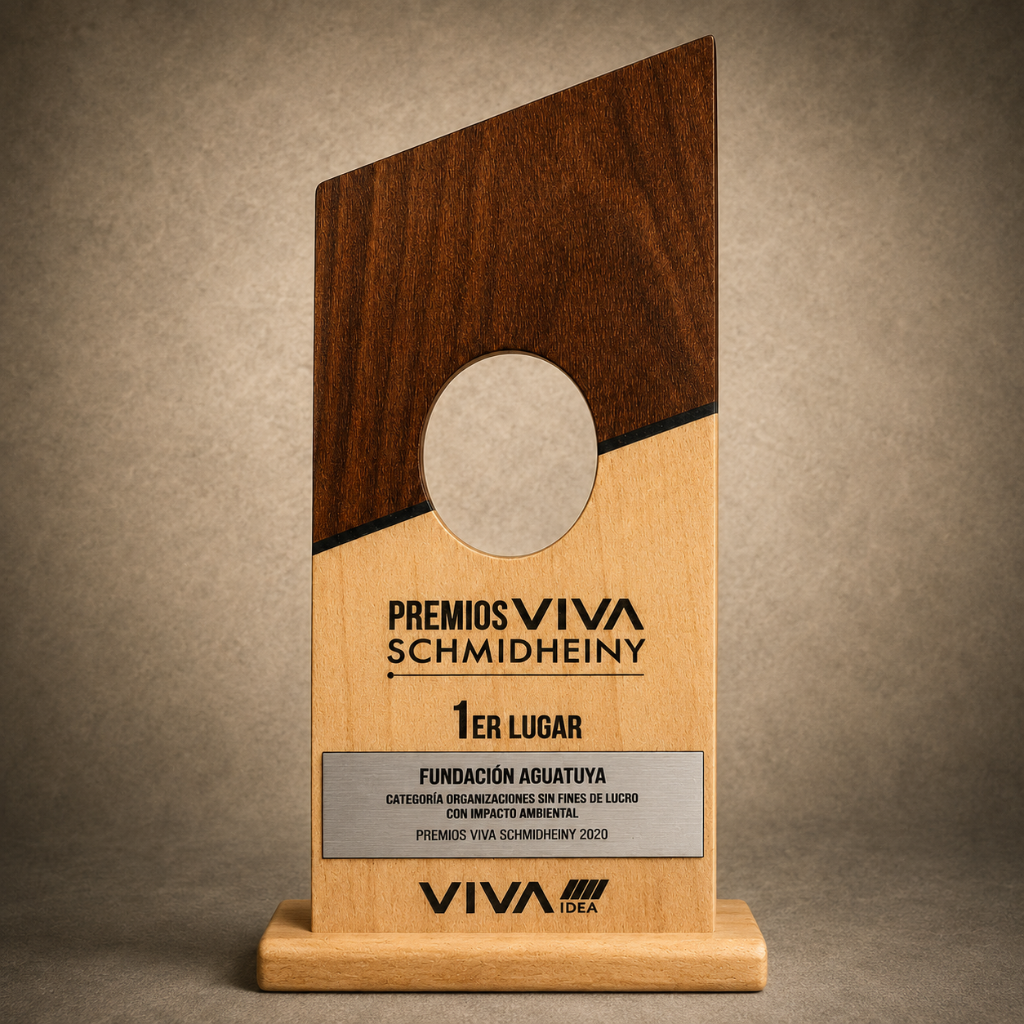 Premios VIVA Schmidheiny
