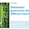 Gobernanza para Aguas Residuales: Policy brief internacional